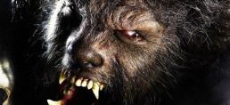 Stmívání? Ne, ale<strong> chlupatý masakr za svitu měsíce</strong>