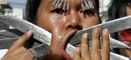 <strong>Vegetariáni se</strong> na svém festivalu <strong>probodávají</strong>