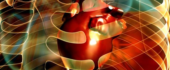 Vědci oživili mrtvé srdce Vědci oživili mrtvé srdce