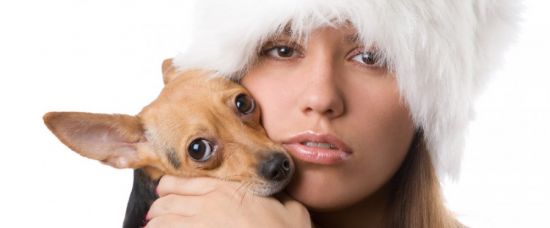 Psí kondomy: novinka pro mazlíčky