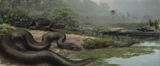 Had zabiják. Velký jako autobus