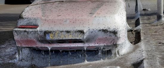 Tisíce housenek pokryly auto hedvábím Tisíce housenek pokryly auto hedvábím