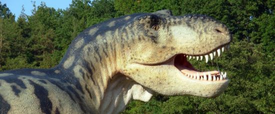 Trpasličí dinosauři žijí v Transylvánii