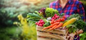 Jak na správné skladování zeleniny a ovoce?