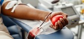 Krevní transfuze zachraňuje životy. Cesta k ní vedla ale velmi trnitá