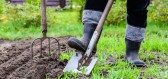 Blíží se zahradnické práce. Víte, co vše na své zahradě dělat musíte, nebo naopak nesmíte?