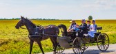 Život jako ve středověku: Společenství Amišů neuznává moderní technologie a žije vlastním tradičním způsobem