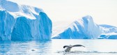 Zajímavosti o Grónsku, ostrově plném ledu, které vás zvednou ze židle