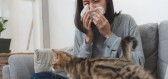 Alergie na kočky představuje vážný problém, nová vakcína slibuje řešení