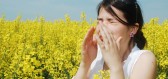 Alergie na pyly – jak ji poznáte a jak se jí zbavit