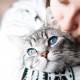Hledáte ideálního domácího mazlíčka? Vhodné plemeno kočky pro vás prozradí vaše znamení