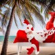 Vánoce ve světě: v Norsku vychází zlé čarodějnice, v Litvě se táhne kláda