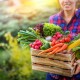 Jak dostat z ovoce a zeleniny co nejvíce vitamínů? Pozor si dejte na mytí a skladování