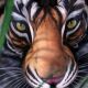 Neuvěřitelný bodypainting: Nahé ženy nebo tygr? 