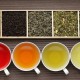 Zázračné čaje - jak se liší podle barvy?