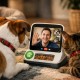 Vývojáři představili mobilní telefon pro domácí mazlíčky