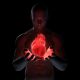 Srdce, poničené po infarktu, zahojí nový lék