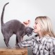 Jaké výhody přináší soužití s kočkou?