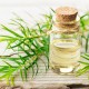 Tea tree oil - zázrak, který vám pomůže s řadou zdravotních i kosmetických problémů