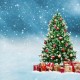 Vánoční stromeček: Odkdy a proč ho zdobíme?