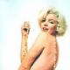 Poslední erotické fotky Marilyn Monroe