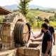 Z italské fontány teče víno místo vody. A navíc je to zdarma