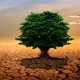 Sucho nebo „jen“ zničená půda?