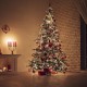 Kde se vzala tradice zdobení vánočního stromečku?