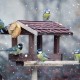 Co mají ptáci v zimě na krmítku nejraději