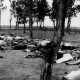 Arménská genocida – tragédie, která již 100 let vráží klín nejen mezi Armény a Turky