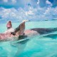 Bahamy lákají dovolenkáře množstvím turistických atrakcí