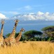 Nevšední africká exotika – Keňa, Zanzibar, Seychely