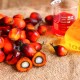 Proč se vyhnout palmovému oleji?