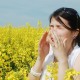 Alergie na pyly – jak ji poznáte a jak se jí zbavit