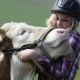 Dívka trénuje krávu jako dostihového koně!