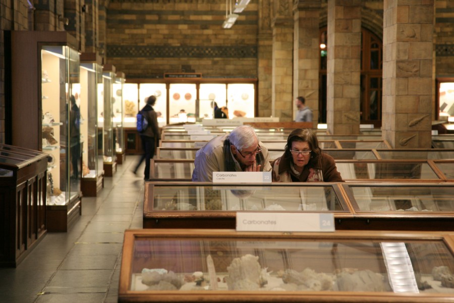 Muzeum 