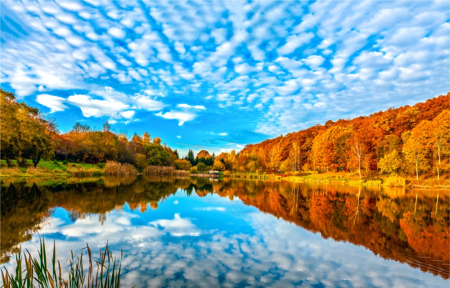 Zabarvená podzimní krajina