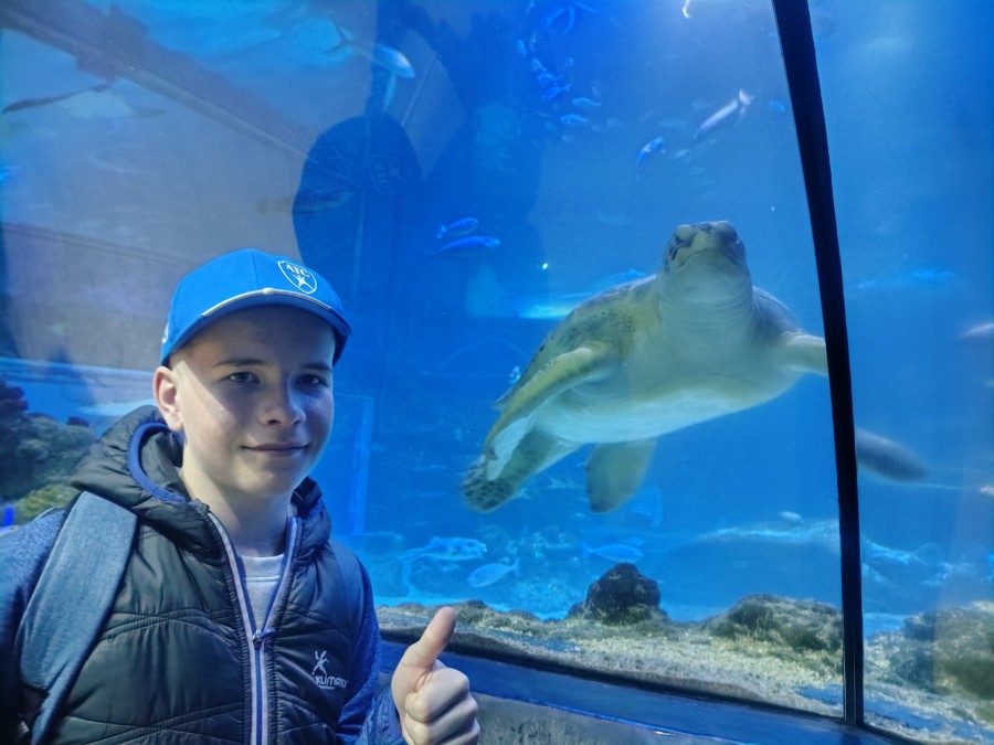 Akv&aacute;ruim n&aacute;s lehce zklamalo