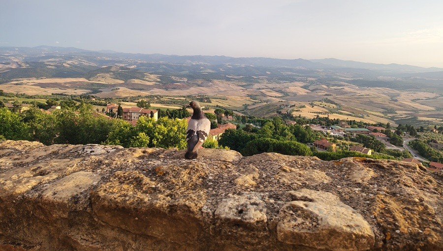 &Uacute;žasn&eacute; v&yacute;hledy na tosk&aacute;nskou krajinu