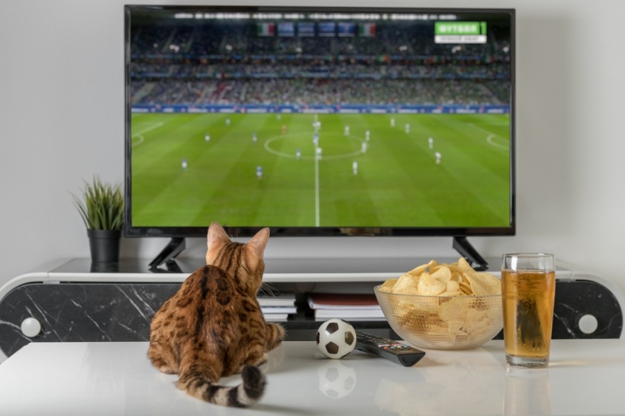 Když vás nebaví fotbal, řekněte to
