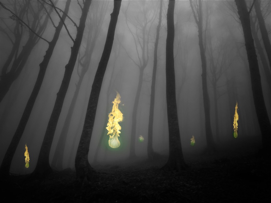 Záhada lesních bludiček objasněna